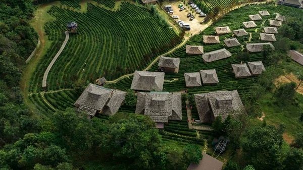 Aerial View Resort Green Tea Plantation Hill Ban Rak Thai — Φωτογραφία Αρχείου