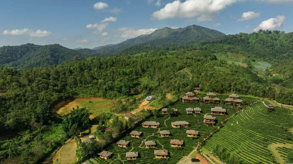 Aerial View Resort Green Tea Plantation Hill Ban Rak Thai — Φωτογραφία Αρχείου