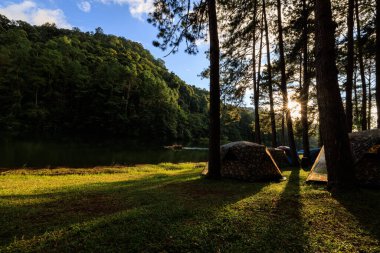 fair light from the sun and shadow of the pine trees in afternoon at the camping area, Pang-Ung  Mae Hong Son, North of Thailand, in the winter season, travel nature concept,