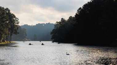 Kuğu yüzme ve Siluet turist gurubu, sabahın köründe Pang Ung barajında rafting yapıyor. Tailand 'ın en önemli şehri Mea Hong Son, yani doğal turizm konsepti.,
