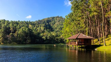 Riverside resort and pine trees in the morning at  Pang-Ung  Mae Hong Son, North of Thailand, in the winter season, travel nature concept,