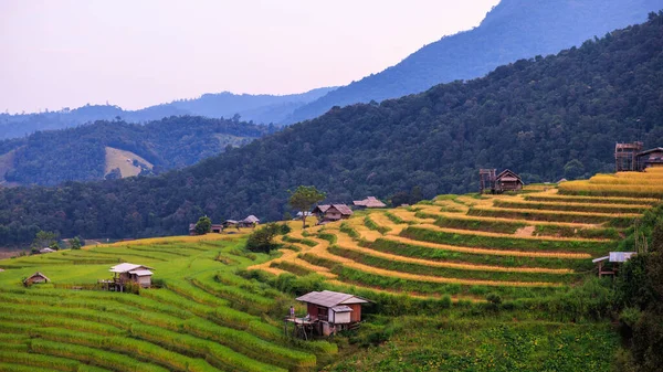 Landscape View Country Style Resort Middle Rice Fieds Terrace Valley — Stockfoto