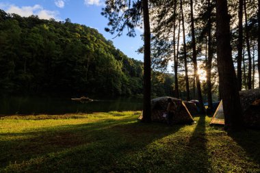 fair light from the sun and shadow of the pine trees in afternoon at the camping area, Pang-Ung  Mae Hong Son, North of Thailand, in the winter season, travel nature concept,