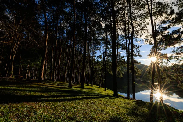 over fair light from the sun and water reflection and shadow of the pine trees in afternoon at the camping area, Pang-Ung  Mae Hong Son, North of Thailand, in the winter season, travel nature concept,