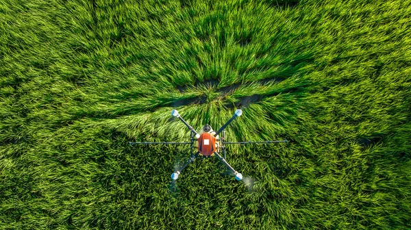 Agriculture drone flying and spraying fertilizer and pesticide over farmland,High technology innovations and smart farming. concept aerial top view from drone camer