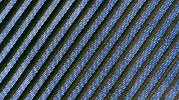 Solar panels (solar cell) in solar farm clean energy tecnologyfor the future concept, photograph aerial top view from drone