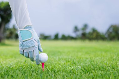 close up of hand female asian professional golfer hold golf ball put on tee by glove golf at green golf course, side view shot