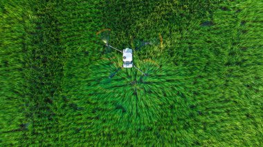 Agriculture drone flying and spraying fertilizer and pesticide over farmland,High technology innovations and smart farming. concept aerial top view from drone camer