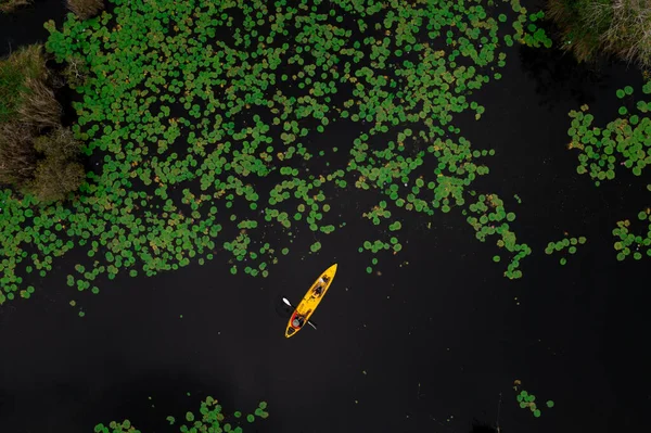 緑の葉蓮の中でカヤックを漕ぐ男とタイのライオン植物園で黒い湖の上からの空中の景色 — ストック写真