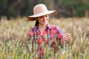 Tahıl tarlasında çalışan ve hasat geliri planlayan Asyalı kadın çiftçi portresi. Kadın, buğday hasadının kalite kontrolünü inceliyor ve kontrol ediyor. Tarım ve hasat kavramı