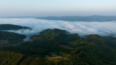 Tayland 'ın kuzeyindeki ulusal parktaki rezervuar ya da baraj üzerinde sabah sisi olan manzara