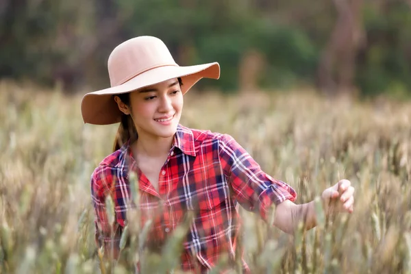 Portrait Asian Woman Farmer Agronomist Working Grain Field Planning Income — Stock Photo, Image