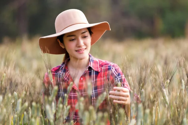 穀物畑で働くアジア系女性農家の農学者を描いたもので 収穫収入を計画しています 小麦作物の品質管理を検討し チェックする女性 農業と収穫の概念 — ストック写真