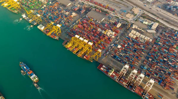 Containerschip Commerciële Haven Laden Lossen Vracht Uit Containerschip Uitvoer Kraan — Stockfoto