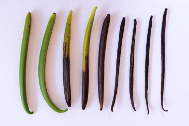 Üst görünüm vanilya podları beyaz arka grupta izole