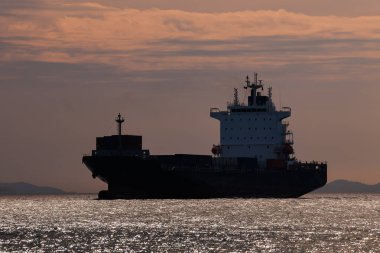 Deniz pelerini ve siluet konteynır gemisi akşamları denizde yüzüyor.