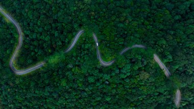 Yağmur mevsiminde küçük sürüş arabalı ve yeşil ormanlı güzel kıvrımlı yol, Tayland 'ın kuzeyindeki şehri birbirine bağlayan kırsal yollar, Ekosistem ve ekolojik sağlıklı çevre kavramları, insansız hava aracı bakış açısı,