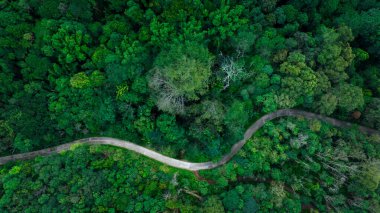Yağmur mevsiminde kıvrımlı yol ve yeşil ormanın güzel manzarası, Tayland 'ın kuzeyini birbirine bağlayan kırsal yollar, Ekosistem ve ekolojik sağlıklı çevre kavramları, insansız hava aracı bakış açısı,