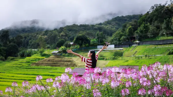 young asian girl standing holding hand and happy smiling in flower garden at  morning mist Mae Klang Luang Rice terraces, Chiang Mai Thailand,