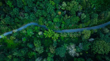 Tayland 'ın kuzeyindeki yeşil vadide drone dönüş yolu, arka plan için manzara fotoğrafı.,