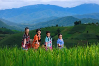 Asyalı bir grup kadın, Tayland 'ın Chiangmai şehrinde sabah sisinde Ban pa bong piang' ın yeşil pirinç terasında turist olarak seyahat ediyor..