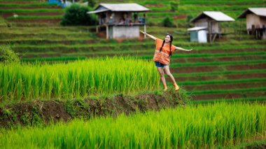 Tayland, Chiangmai 'de sabah sisinde Ban pa bong piang yeşil pirinç terasında seyahat eden Asyalı kadın portresi..