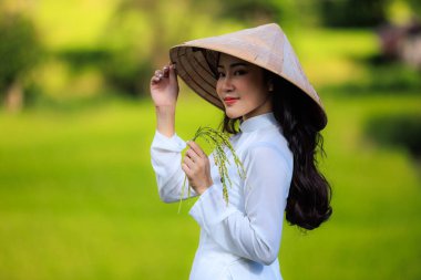 Geleneksel Vietnamlı elbisesi giyen genç Asyalı bir kadının güzel portresi elinde altın pirinç tarlasını tutuyordu..