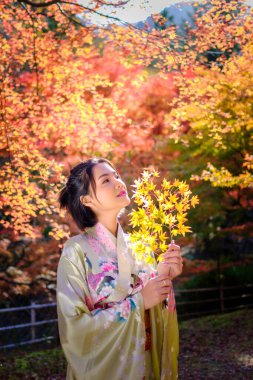 Japonya 'da sonbahar yaprakları mevsiminde parkta kimono takan güzel bir Asyalı kadın.