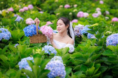 Renkli ortanca çiçekleri tarlasında beyaz elbiseli güzel bir kadın, zevk portresi ve rahatlama boş zaman konsepti..