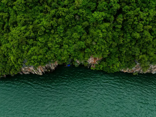 Hava görüntüsü koyu yeşil deniz suyuna uzanan yemyeşil bir uçurum ve uçurumun altında küçük bir tekne olduğunu gösteriyor. Deniz ve orman doğasının güzelliğini ve gizemini gözler önüne seriyor..