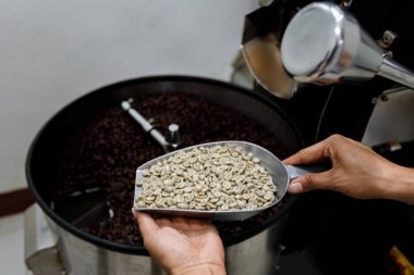 Yakın plan çekimde bir insanın elleri kavrulmamış kahve çekirdeklerini kavrulmuş kahve kabının üzerinde tutuyor. Kontrastlar, ham ve kavrulmuş devletler arasındaki farkı vurguluyor.