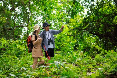 Genç Asyalı çift ormanda birlikte seyahat ediyorlar. Çekici erkek ve kadın gezgin doğa odunlarını geziyor ve geziyor. Tatil tatili boyunca eğlence ve mutluluk dolu. Yeşillik yağmuru sezonu..