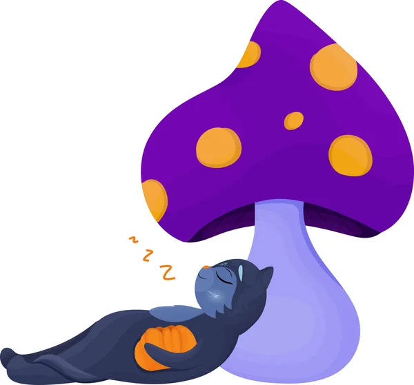 Gato Preto Dormindo Com Abóbora Sob Cogumelo Cogumelo Mágico Clipart — Vetor de Stock