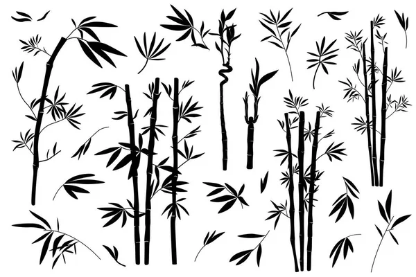 Abbildungen Von Bambus Blättern Und Zweigen Silhouette Vektor — Stockvektor