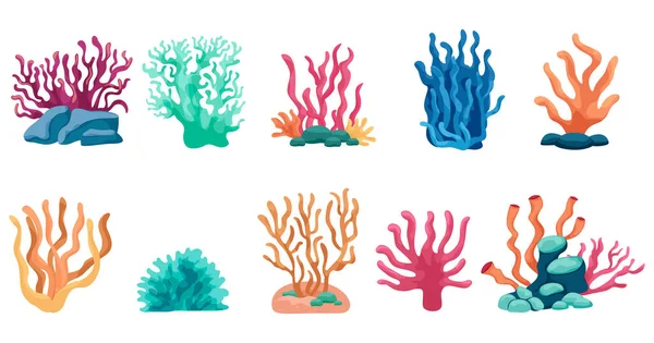 Bunte Korallen Illustrationen Illustrationen Die Unbeschwerten Sommerurlaub Erinnern Meer Meer — Stockvektor