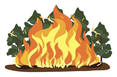 Bir orman yangınının, ağır ateş ve dumanın, yanan ağaçların ve diğer bitkilerin, ateşin bir tasviri 