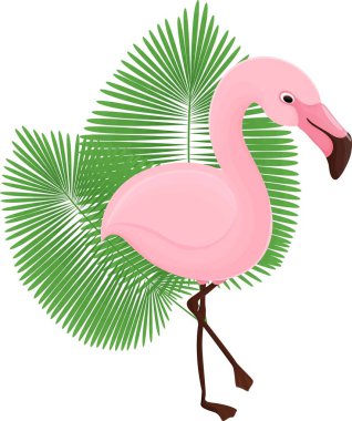 Çizgi film flamingoları, çizgi film çizimleri, vektör hayvanlar.