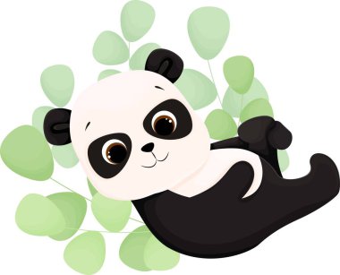 Çizgi film panda, karikatür çizimi, vektör hayvan