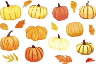  Farklı balkabakları, sonbahar mevsimi, sonbahar yaprakları, klipsli sanat, tatil dekorasyonu için çizgi film balkabakları.