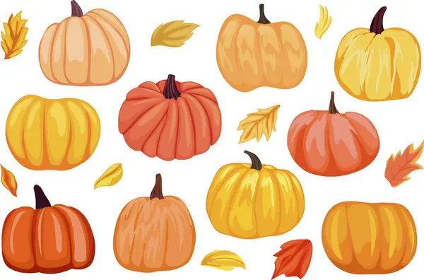 Set Different Pumpkins Autumn Season Autumn Leaves Clip Art Cartoon — Stock Vector