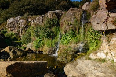 Hayburn Wyke dağlarda güzel bir şelale
