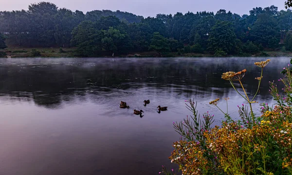 Hardwick Park Parktaki güzel göl manzarası