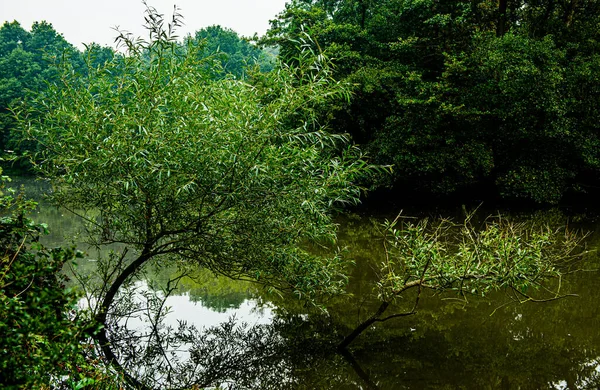 stock image Hardwick Park beautiful view of the park