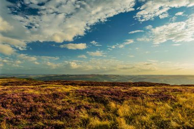Millstones Stanage Edge ilkbaharda yeşil çimenler ve mavi gökyüzü