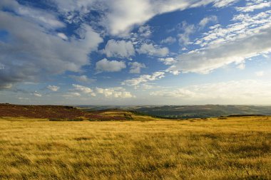 Millstones Stanage Edge ilkbaharda yeşil çimenler ve mavi gökyüzü