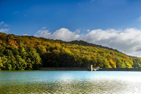 Linacre Reservoirs güzel manzara Ağaçlar ve dağları ile Slovenia