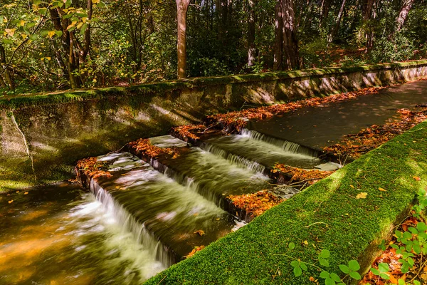 Linacre Reservoirs Musim Gugur Lanskap Dengan Hutan Yang Indah Taman — Stok Foto