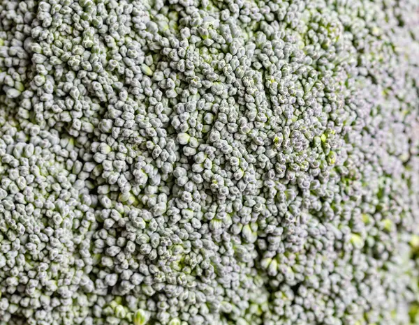 Raw Broccoli on wooden background, close up