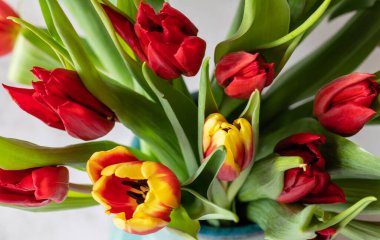 Bouquet of colorful tulips in bright red, orange and yellow colors directly above view, bright beautiful spring bouquet of tulips on gray, selective focus