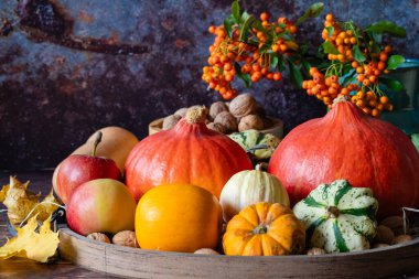 Sonbahar squash hala yaşam konsepti, Hokkaido, ceviz ve diğer kabak türleri, kopyalama alanı